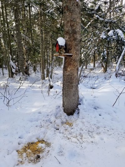 Sentier Jacques et Edna